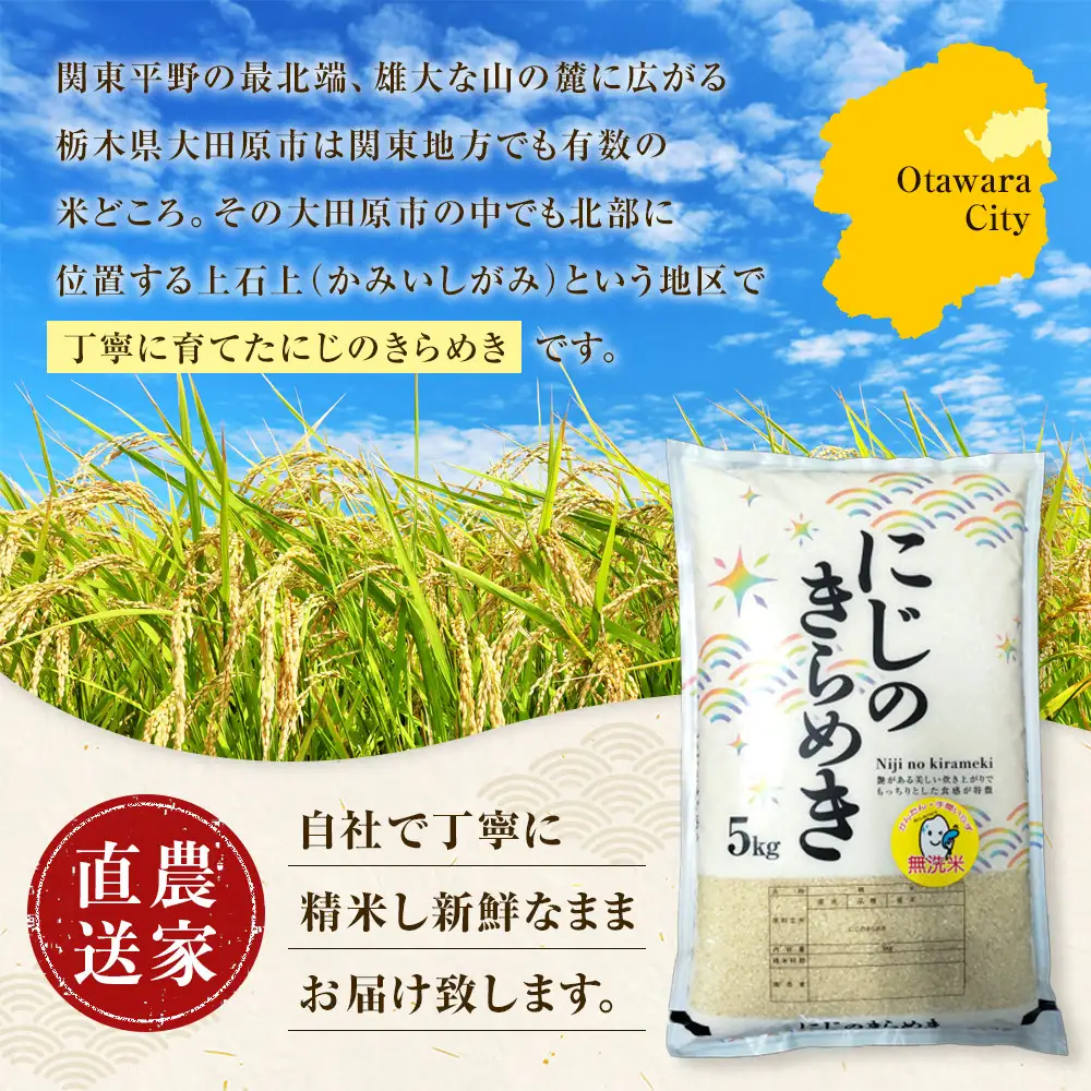 令和８年産 大田原市 藤田farmのにじのきらめき 【無洗米】 5kg ｜栃木県産 米 お米  コメ にじのきらめき  栃木県 【選べる容量】5kg 10kg  数量限定