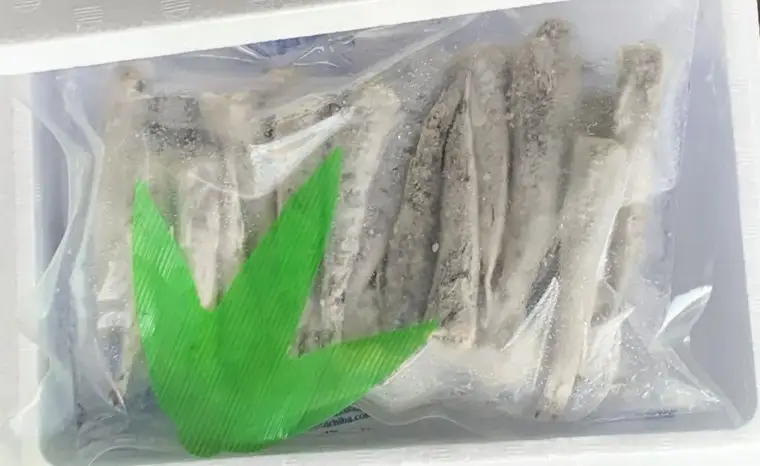 うんまいタコ！お家でゆでる体験キット めひかり唐揚げ付き_【G0774】