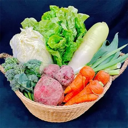 【毎月定期便】【フードロス対応・規格外野菜利用】　オーガニック野菜　シェフSセット全12回【配送不可地域：離島・北海道・沖縄県・四国・九州】【4003730】
