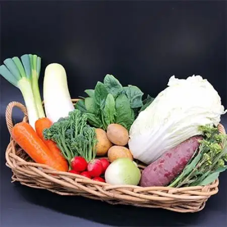 【毎月定期便】有機野菜　Lセット　オーガニック 野菜セット　有機JAS認証　しあわせ野菜畑　全12回【配送不可地域：離島・北海道・沖縄県・四国・九州】【4013497】