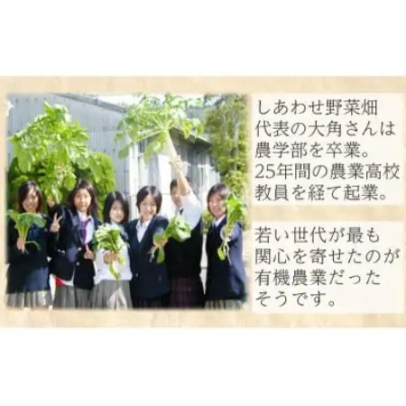 【毎月定期便】有機 野菜　Lセット　オーガニック野菜 セット　有機JAS認証　しあわせ野菜畑全6回【配送不可地域：離島・北海道・沖縄県・四国・九州】【4013498】