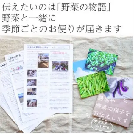 【毎月定期便】有機野菜　Mセット　オーガニック 野菜 セット　有機JAS　しあわせ野菜畑　全12回【配送不可地域：離島・北海道・沖縄県・四国・九州】【4013499】