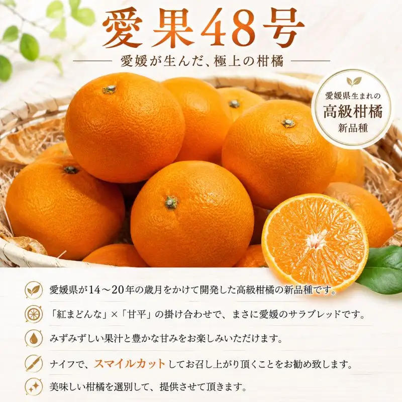 愛果48号 約2.5kg 家庭用 【2027年3月上旬頃から順次発送】 あいか48号【DRM013】