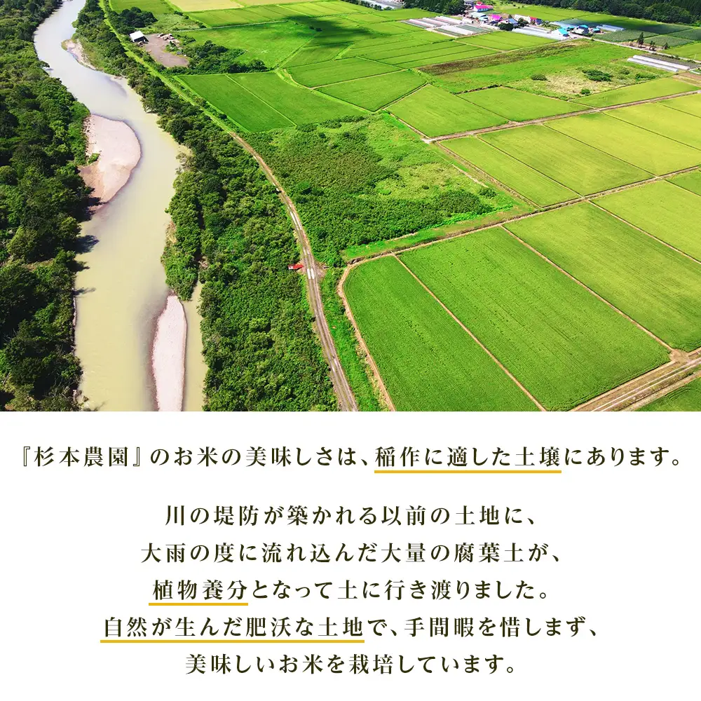   【令和8年産新米予約】★金賞農家★が作る「ふっくりんこ」5kg《杉本農園》