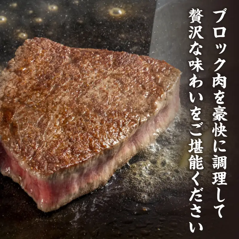 赤身 ブロック肉 500g 牛肉 国産 黒毛和牛