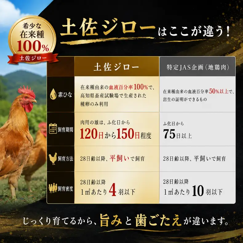 地鶏 土佐ジロー 1羽・卵 セット 鶏肉 卵【3月発送】