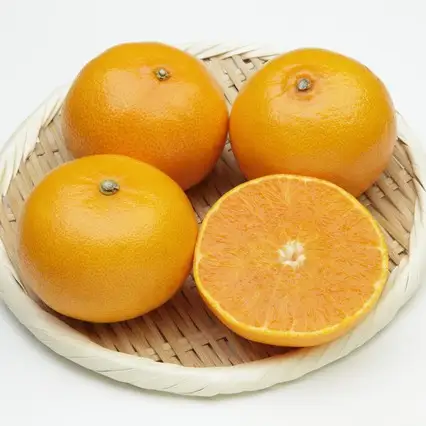 せとか 約3kg 贈答用 秀品 化粧箱 【2027年2月上旬頃から順次発送】 せとか 【DRM016】