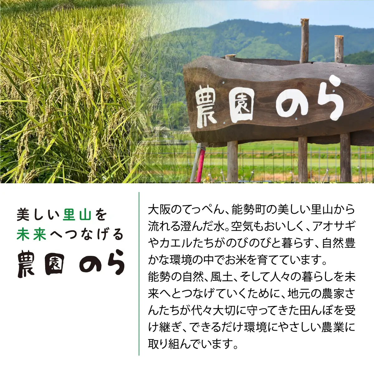 《予約受付中》令和8年産きぬひかり「きねのしずく」白米 5kg×2袋 栽培期間中農薬・化学肥料不使用 | 農園のら | 米 新米 白米 10kg キヌヒカリ 中農薬 化学肥料不使用 自然栽培 特別栽培 | おにぎり 弁当 産地直送 | 大阪府 能勢町 送料無料