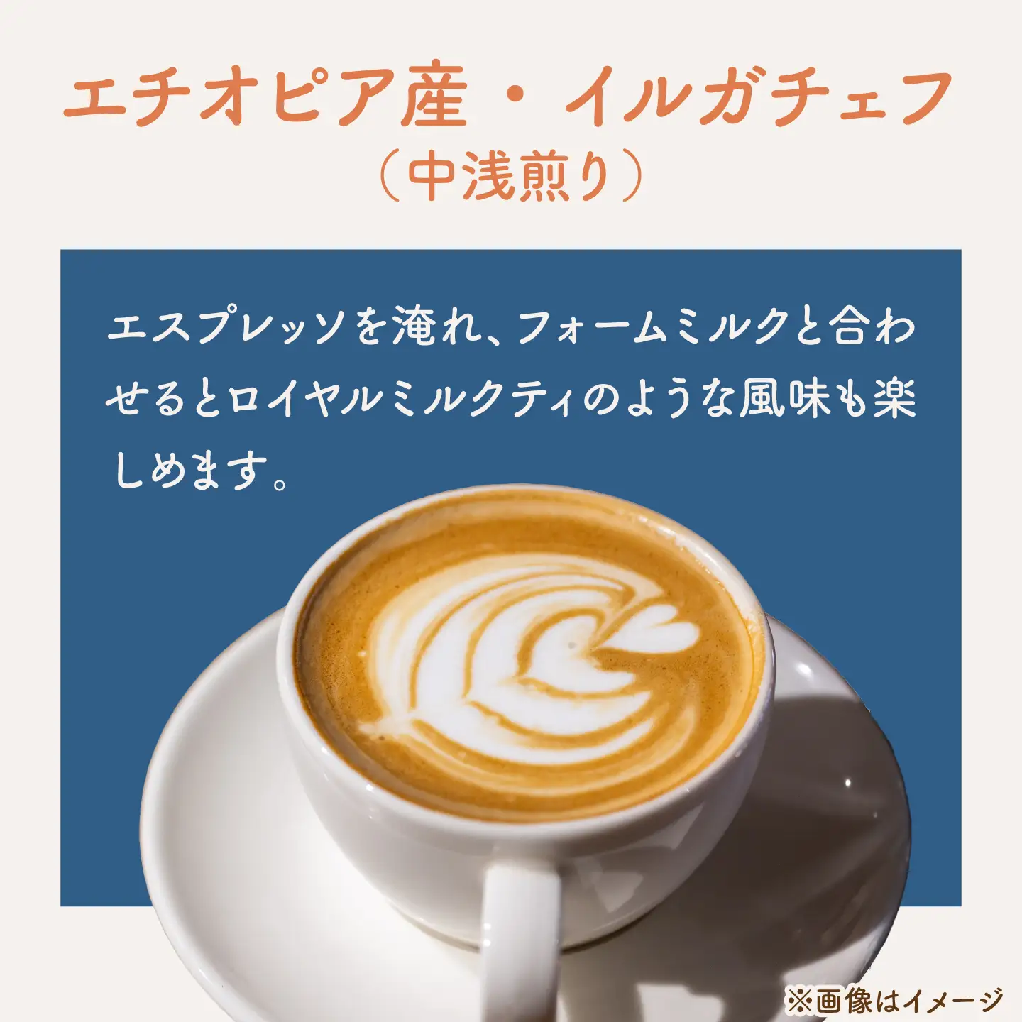 【粉タイプ】コーヒー 飲み比べ 3種セット 約150g(各50g)ブラジル・エチオピア・コロンビア 有機栽培 珈琲 豆 ギフト お取り寄せ 【THE FIVE☆BEANS】[ASCS005]