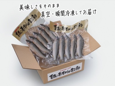 鮎 赤石川の金の鮎 真空冷凍 鮎【5尾×2パック】【冷凍】