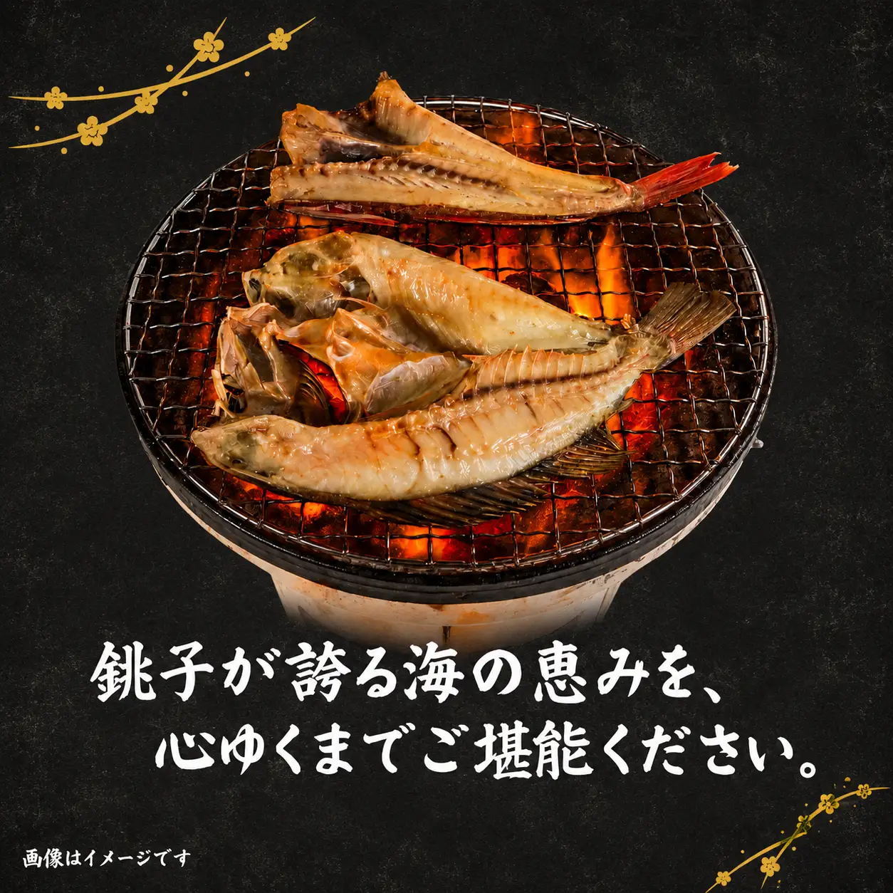 旬の 干物 セット （ 2種類5枚以上 ） 干物