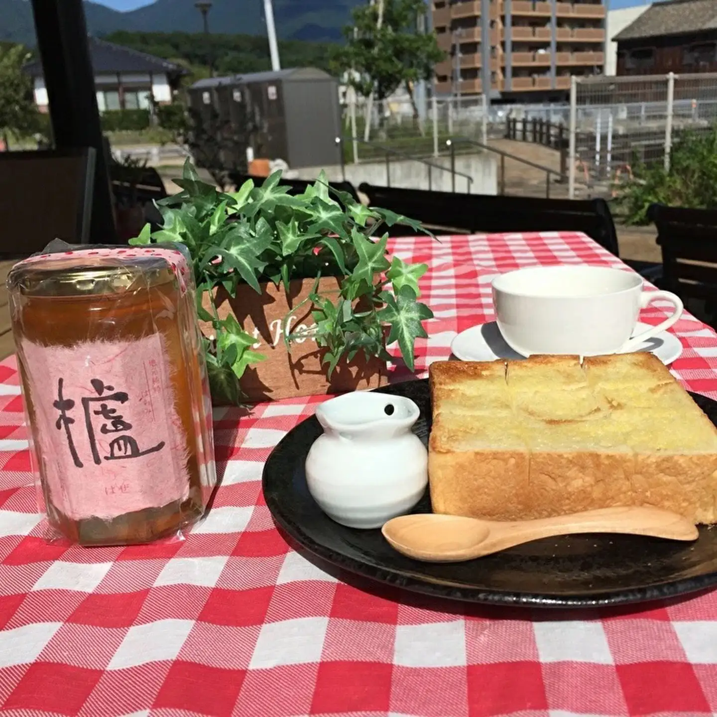 国産 純粋 はちみつ 櫨（はぜ）・蜜柑のセット 各400g _b-173