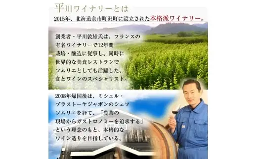 【平川ワイナリー】ワイン2本セット  エスぺリードテール・ド・ヨイチ2022・ レスプリ テール・ド・ヨイチ2024_Y090-0051