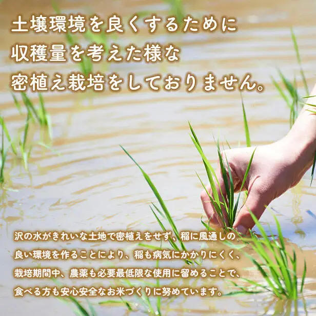 《定期便7ヶ月》【無洗米】あきたこまち 10kg（5kg×2） 秋田県産 令和7年産  こまちライン 秋田県 大仙市産