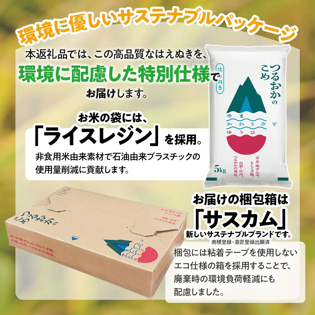 【令和7年産】はえぬき 玄米 10kg(5kg×2袋)　山形県産 SDGs未来都市鶴岡 エコ包装