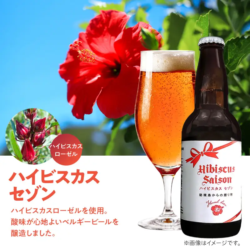 花の島から香る贅沢！フローラルビール 6本 セット C080-001 ビール 酒 アルコール