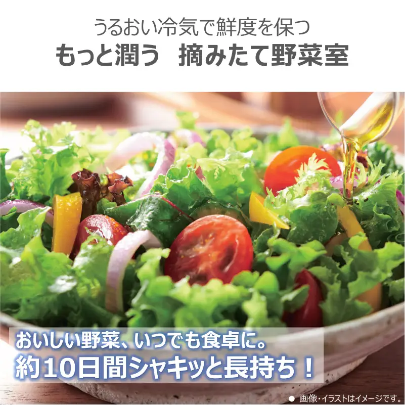 東芝　冷蔵庫【標準設置費込み】　465L　5ドア　左開き　冷凍冷蔵庫　GR-A470GSHL(EW) 【kw0240-0482】