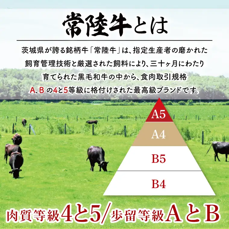 【常陸牛】生ハンバーグ 150g×5個 茨城県共通返礼品｜茨城県 大子町 牛肉 国産 ブランド牛 黒毛和牛 惣菜 おかず 贈り物 ギフト （DJ001）