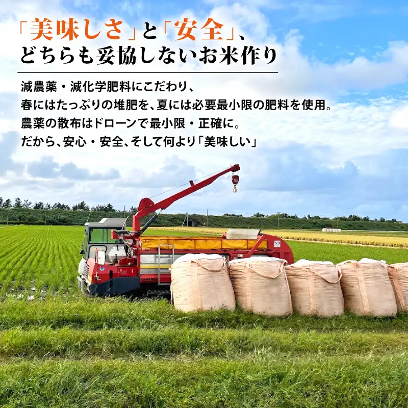 【コンテスト入賞米】 新米 特別栽培米 コシヒカリ 10kg 5kg×2袋 特栽米 新潟県産コシヒカリ 新発田産 新潟 米 アグリ中俵 新潟県 新発田市 【令和8年産 先行予約 2026年11月以降順次発送】nakatawaraKH008