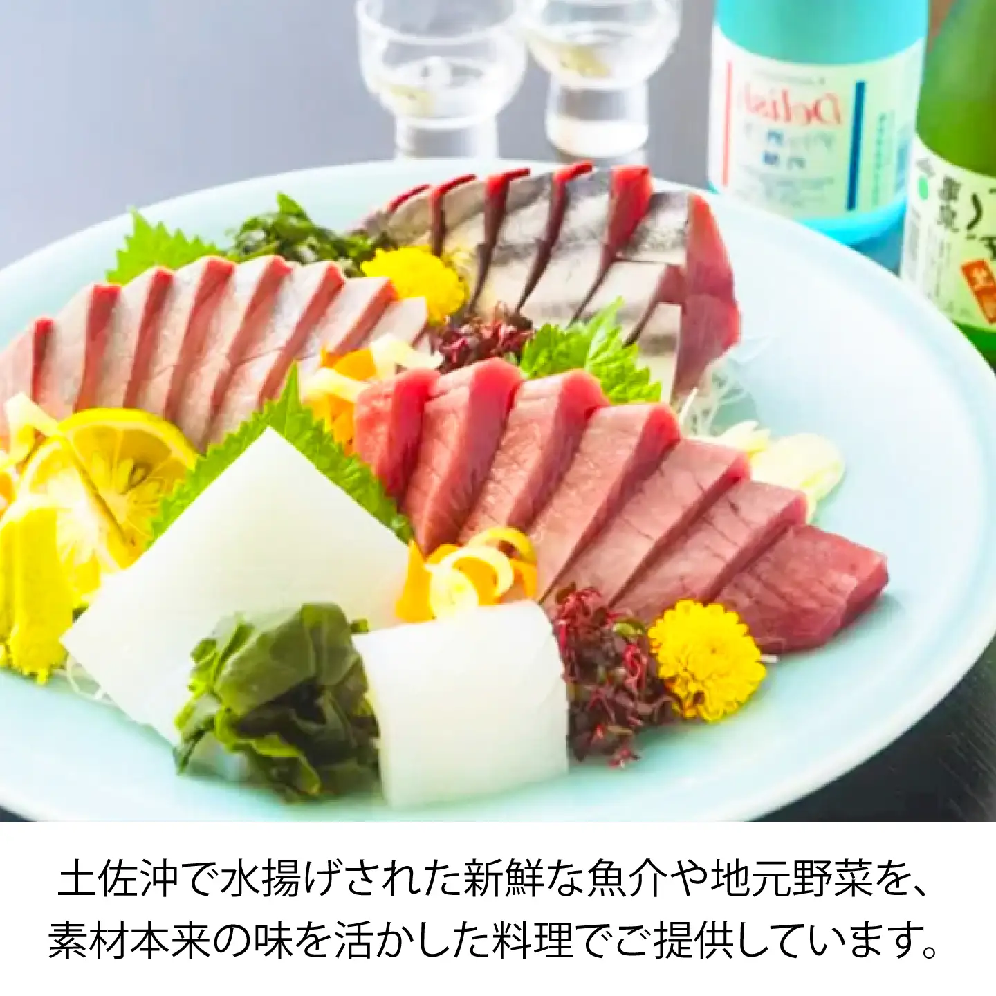 土佐市 和み松尾(居酒屋)お食事券 高知県 土佐市 ふるさと納税【株式会社松尾】[BQBL003]