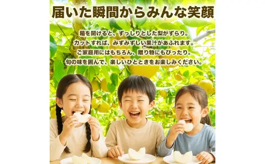 秋月梨 約5kg （ 6 ～ 18玉 ） 梨 なし ナシ 果物 くだもの フルーツ 果実 果汁 果肉 国産 熊本県産 【 2026年9月上旬から9月下旬発送予定 】
