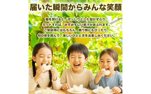 新高梨 約5kg （ 6 ～ 16玉 ） 梨 なし ナシ 果物 くだもの フルーツ 果実 果汁 果肉 国産 熊本県産 【 2026年9月上旬から10月上旬発送予定 】