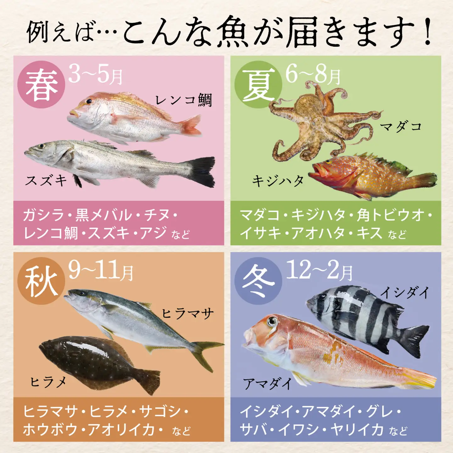 若狭湾鮮魚セットおまかせ2kg以上（4～5魚種）【11月発送】
