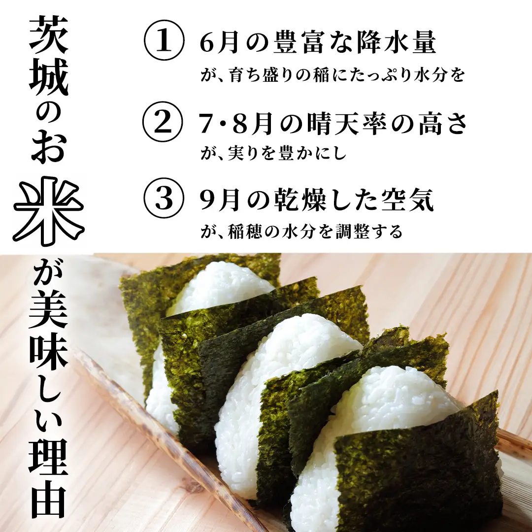 ＼ 令和8年産 新米 先行予約 ／ 【12月上期出荷】 コシヒカリ 5kg（精米） 茨城県つくばみらい市産 │ こしひかり 米 コメ こめ 単一米 限定 茨城県産 国産 美味しい お米 おこめ おコメ つくばみらい市