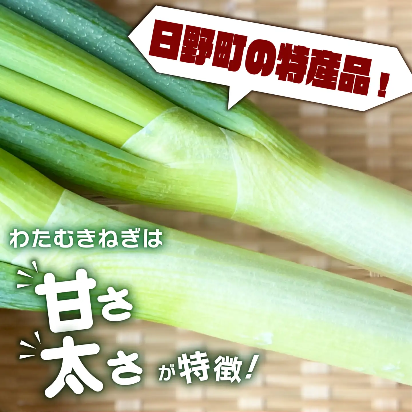 【先行予約】 【期間限定】 日野町産 わたむきねぎ 8kg 40本 トマトファクトリー 野菜 ねぎ ネギ 長ネギ 白ネギ 
