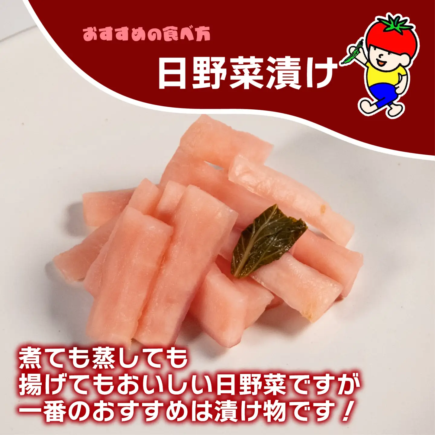 【先行予約】 【期間限定】 日野町産 日野菜 6kg トマトファクトリー 野菜 漬物 漬け物 ひのな 