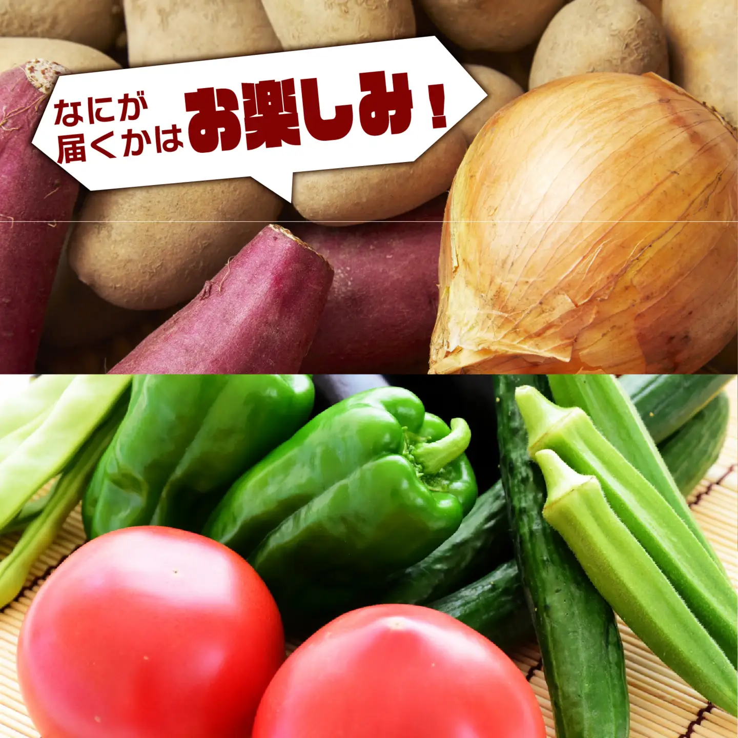 【数量限定】 おまかせ野菜セット 1箱 トマトファクトリー 野菜 トマト きゅうり 白菜 オクラ じゃがいも 玉ねぎ なす 詰め合わせ