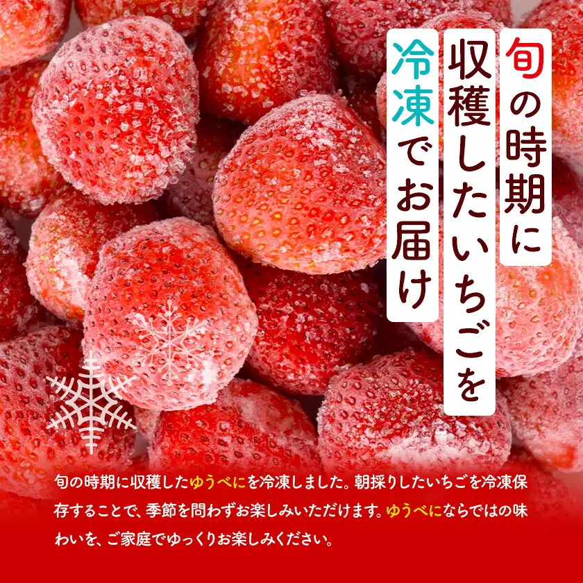 冷凍いちご ゆうべに 1kg 福本農園