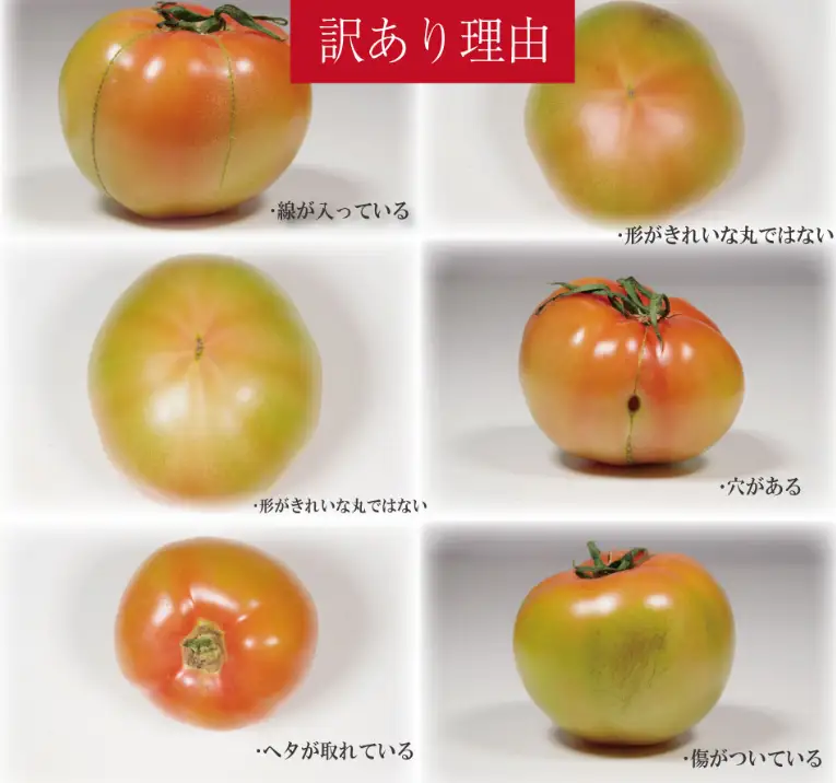 【2027年2月~発送】定期便 3回 訳ありトマト 3kg とまと  桃太郎トマト 野菜 果物 やさい 産地直送 農家直送