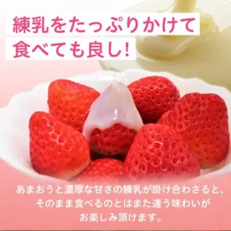 【2027年発送先行受付】フルーツ専門店が選んだ「あまおう苺」春250g×2パック(大野城市)【配送不可地域：離島】【1750231】