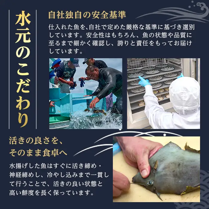 ＜先行予約受付中！2026年11月より発送予定＞ 大分県産 美人鰤 フィレ (2枚・1枚あたり1.5kg以上) 刺し身 ぶりしゃぶ 冷蔵 ブリ ぶり 半身 国産 海鮮 魚 【opbe016】【水元】