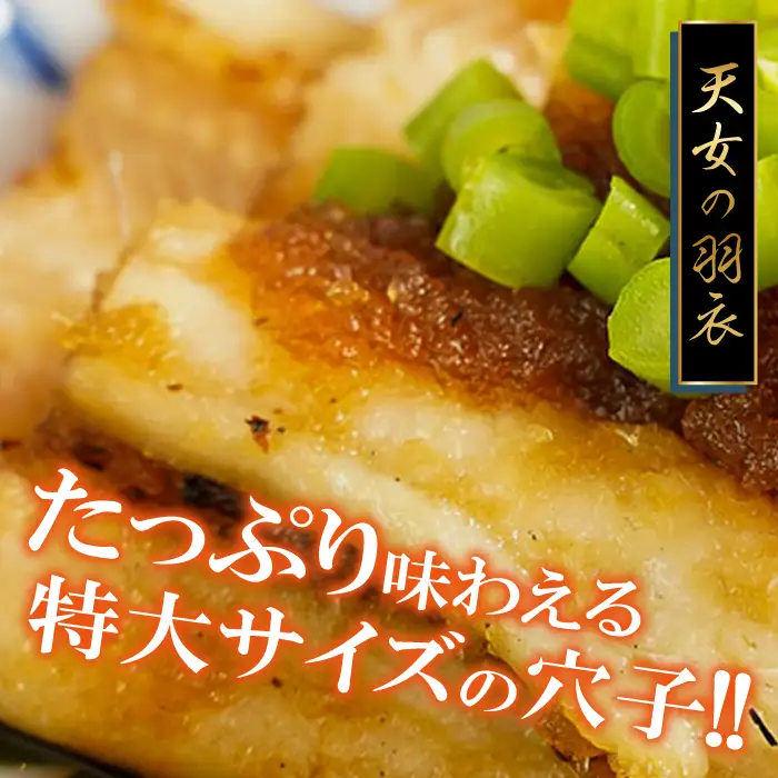 特厚 特大 穴子 一夜干し 2尾 50cm前後【あなご一夜干し 50cm前後 2尾 2枚 穴子干物 穴子 アナゴ あなご 干物 一夜干し 特大サイズ 無添加 天日塩 新鮮 冷凍 真空パック 贈答 父の日 母の日】