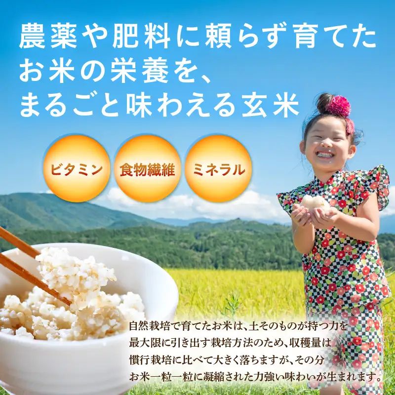 先行予約】【令和8年産】伊与衛門農園の自然栽培米 コシヒカリ 玄米5kg