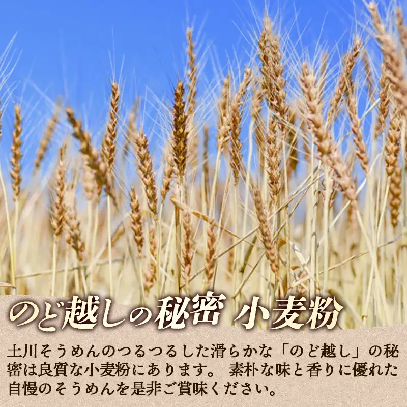 岩手名物 土川そうめん 6kg（200g×30袋）素麺 乾麺 小分け 常温保存 家庭用 岩手県岩手町