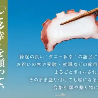 20-112 天然真蛸のボイル 1杯（冷蔵）三重県鳥羽で水揚げされた天然真蛸のボイル