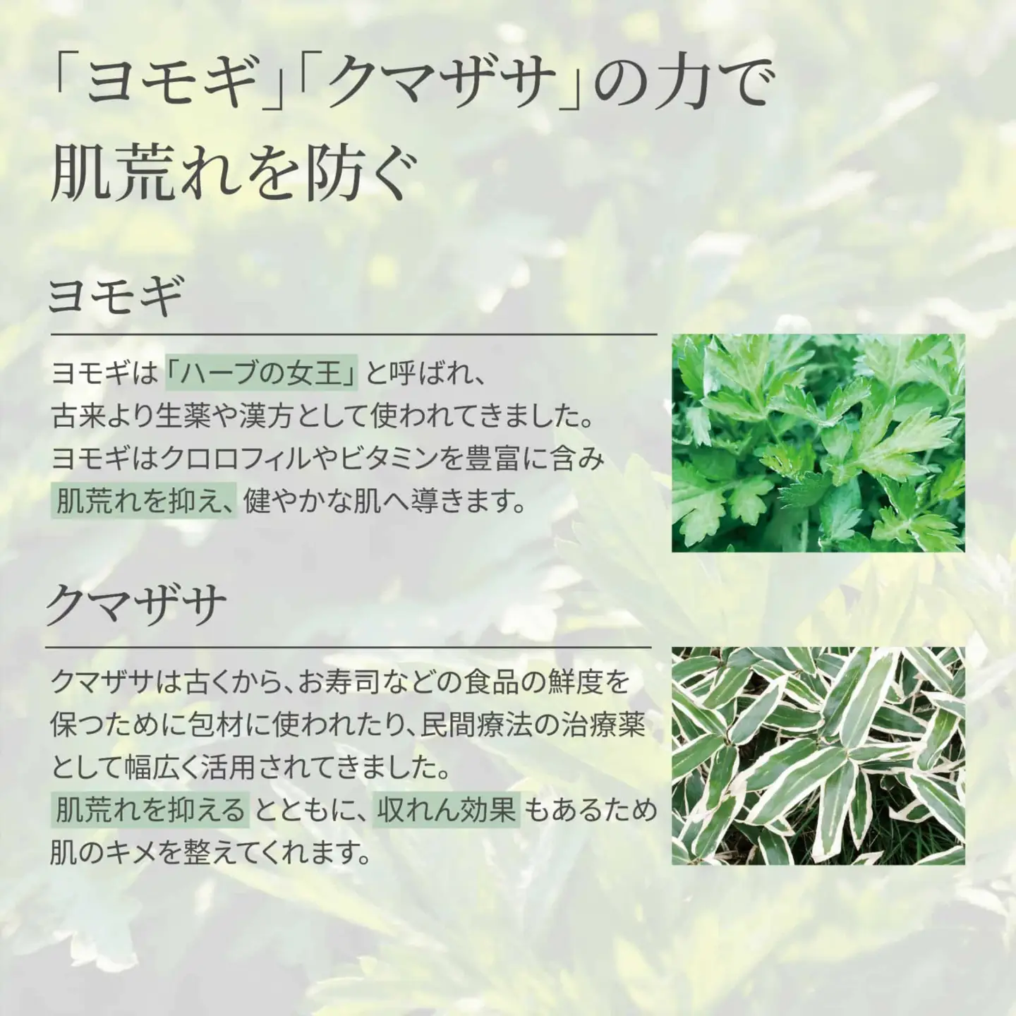 化粧水 福美水 200mL 化粧水 FBJ002