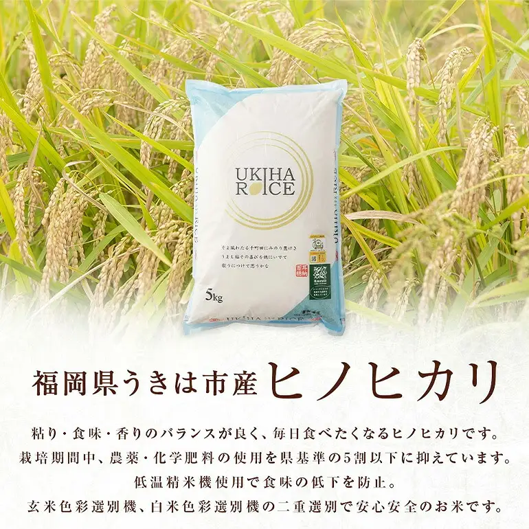 米 白米 精米 UKIHA RICE ヒノヒカリ 令和7年産 10kg 株式会社みずほファーム