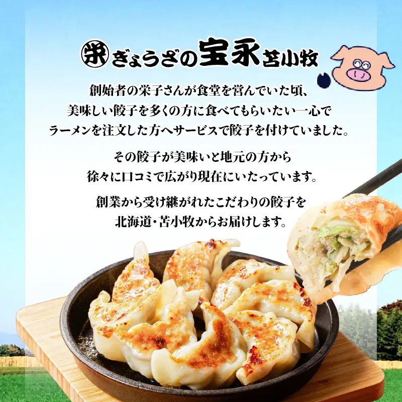 手包み餃子 ぎょうざの宝永 宝永餃子30個セット（宝永餃子15個入×2袋） T004-001-02 惣菜 総菜 餃子