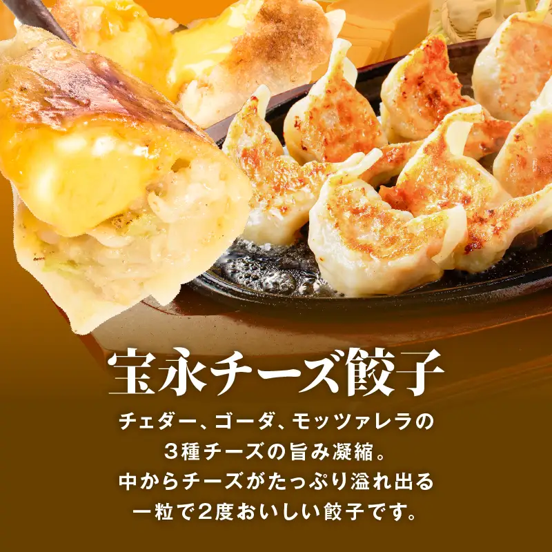 【定期便・全6回 隔月】手包み餃子 ぎょうざの宝永 チーズ餃子30個セット（宝永餃子15個入×1袋・チーズ餃子15個入×1袋） T004-T02-02-03 定期便 定期 惣菜 総菜 餃子