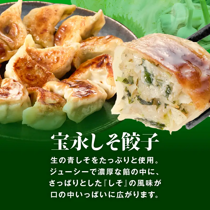 【定期便・全3回 4ヶ月毎】手包み餃子 ぎょうざの宝永 しそ餃子30個セット（宝永餃子15個入×1袋・しそ餃子15個入×1袋） T004-T04-02-01 定期便 定期 惣菜 総菜 ギョウザ しそ餃子 餃子