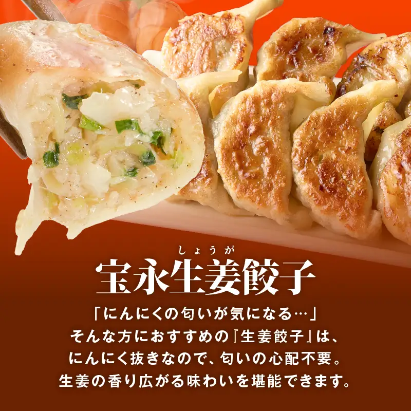 手包み餃子 ぎょうざの宝永 生姜餃子60個セット（宝永餃子15個入×2袋・生姜餃子15個入×2袋） T004-005-02 惣菜 総菜 餃子