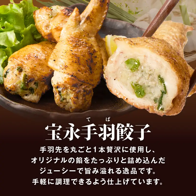 【定期便・全6回 毎月】手包み餃子 ぎょうざの宝永 手羽餃子40個セット（宝永餃子15個入×2袋・手羽餃子5個入×2袋） T004-T06-02-04 定期便 定期 惣菜 総菜 餃子