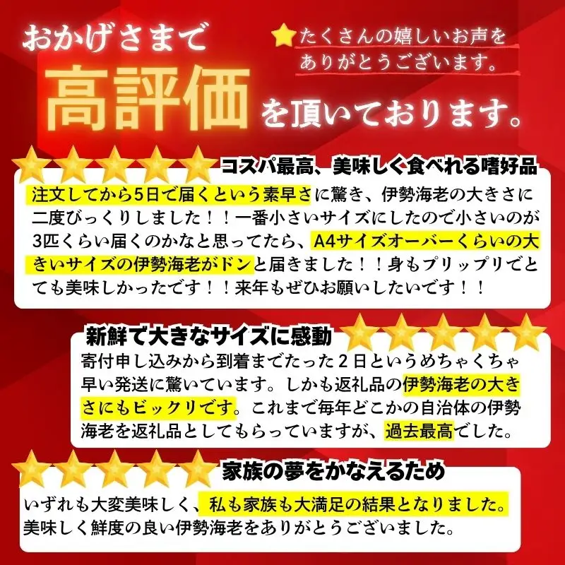 【伊勢海老】 【年末予約配送･29日着】特大伊勢海老 5匹
