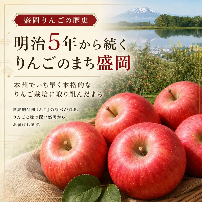 【期間限定】 りんご はるか 3kg 12月上旬~発送 訳あり 先行予約 ふじむら農園 fujimura007