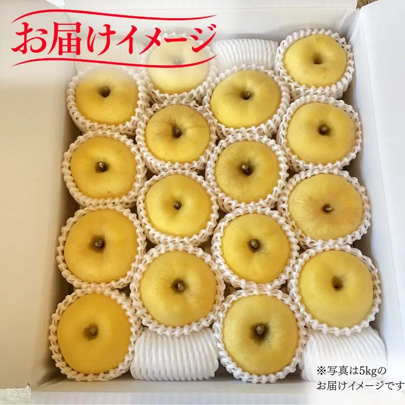 【期間限定】 りんご はるか 5kg 12月上旬~発送 訳あり 先行予約 ふじむら農園 fujimura008
