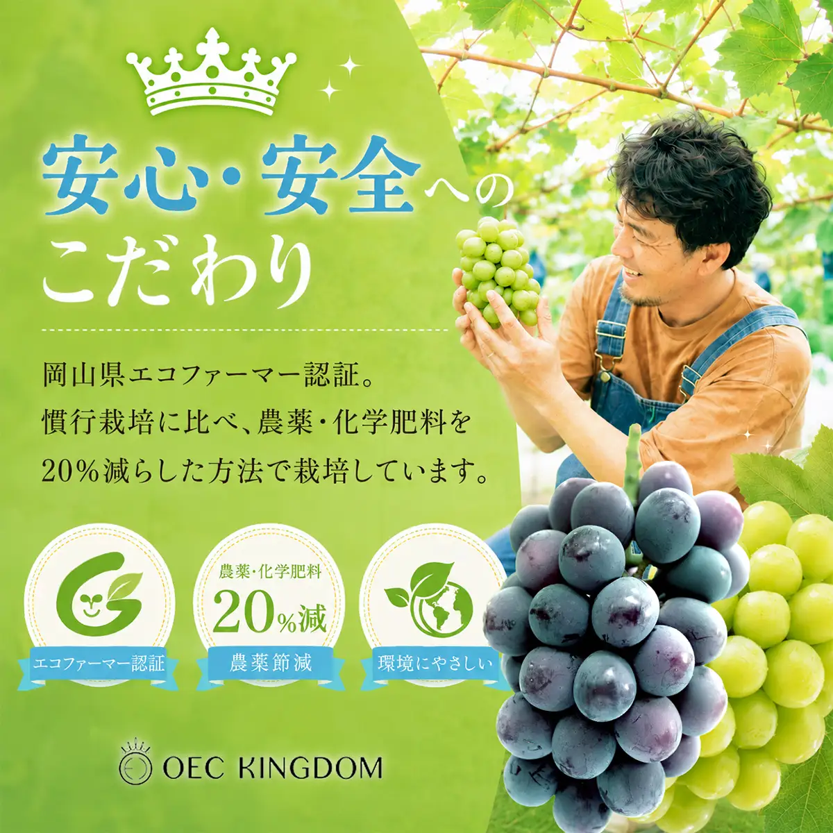 ぶどう 先行予約 プレミアム シャインマスカット 1房（700g以上） 大粒 大房 贈答クラス  ブドウ 葡萄  岡山県産 国産 フルーツ 果物 ギフト OEC KINGDOM ぶどう家 果物類